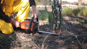 Lawn Grading and Leveling in La Luz, NM